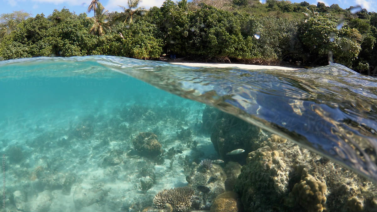 Vanuatu coral reef - rising sea level and global warming effects