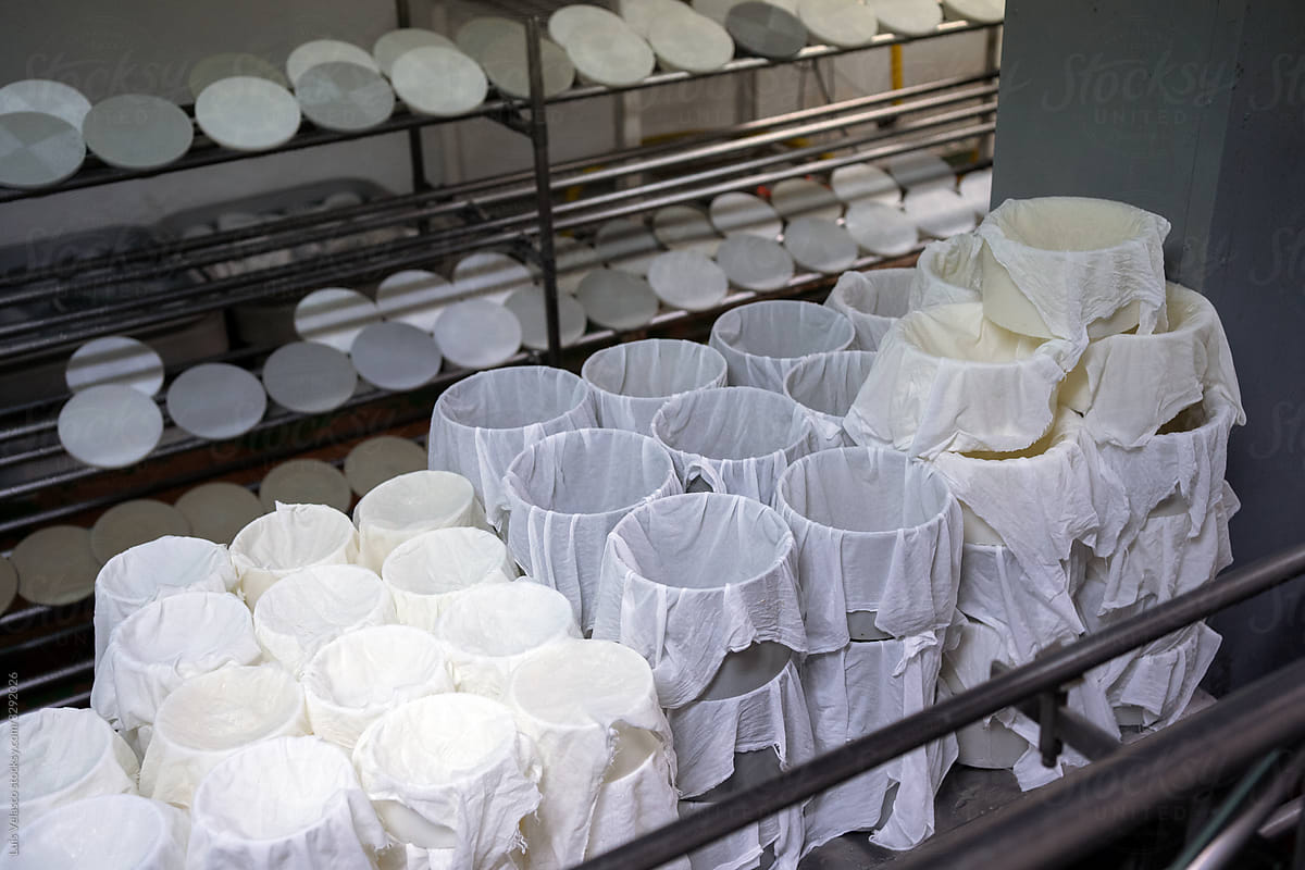 Moulds To Prepare Cheese In The Factory.