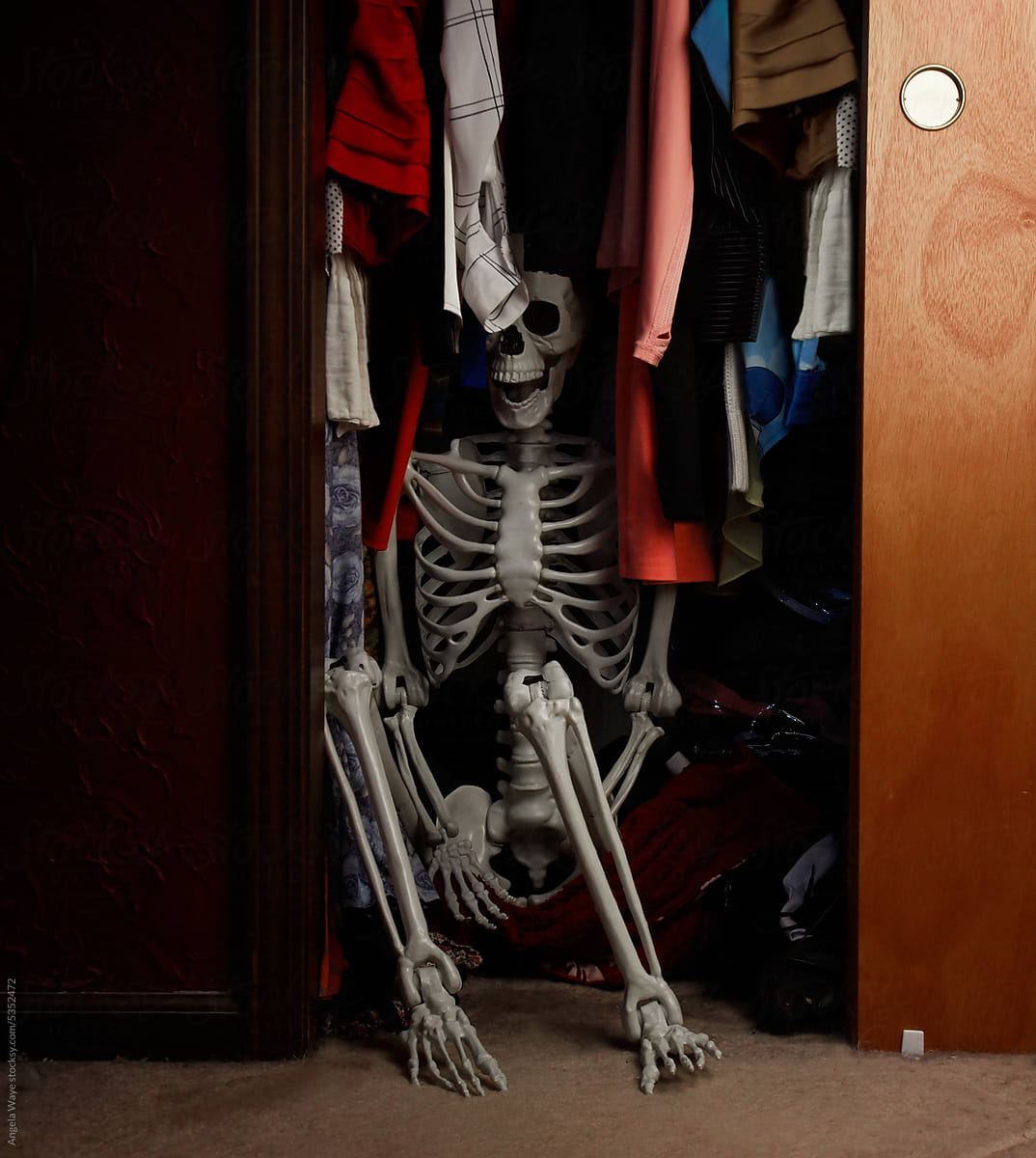 Skeleton in Closet Secret Metaphor