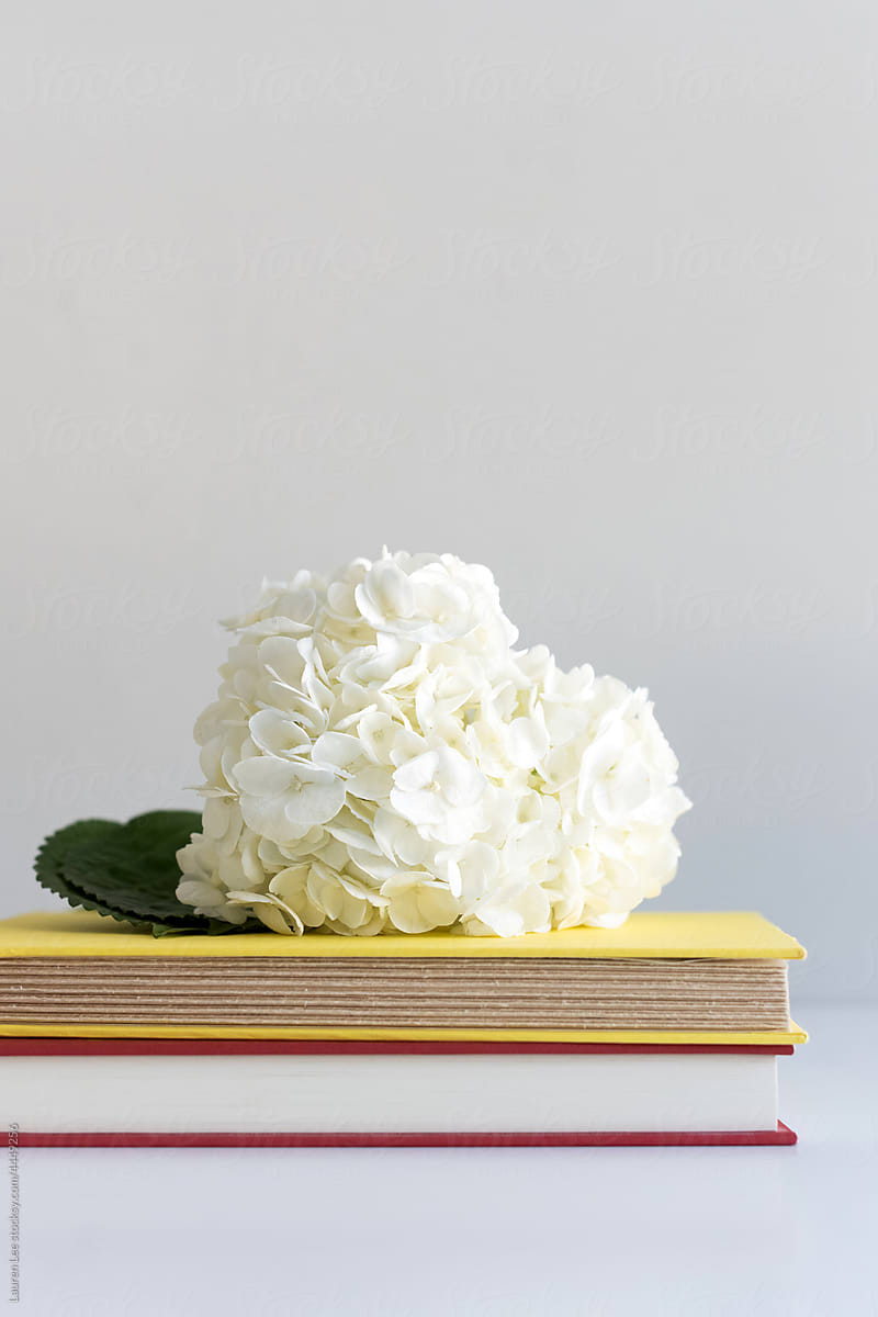 Beautiful flower on top of books