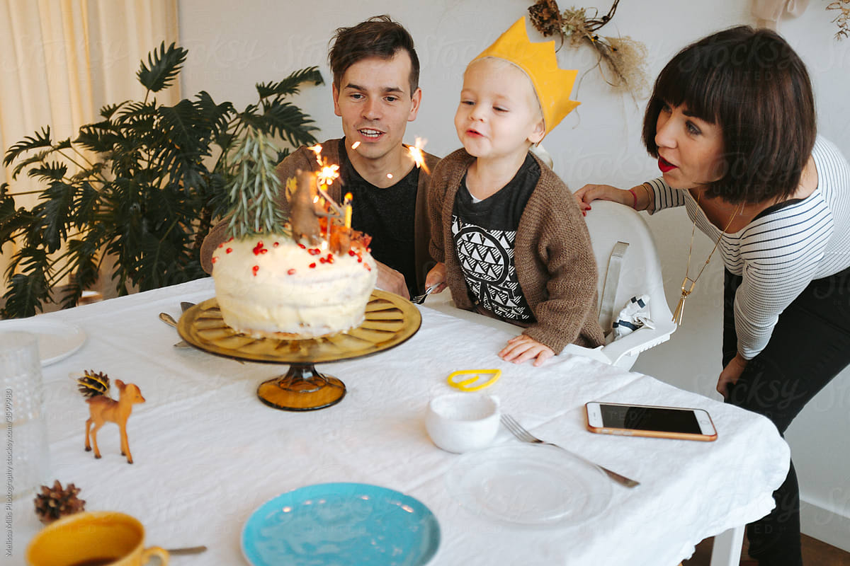 Birthday party with parents for 2 year old