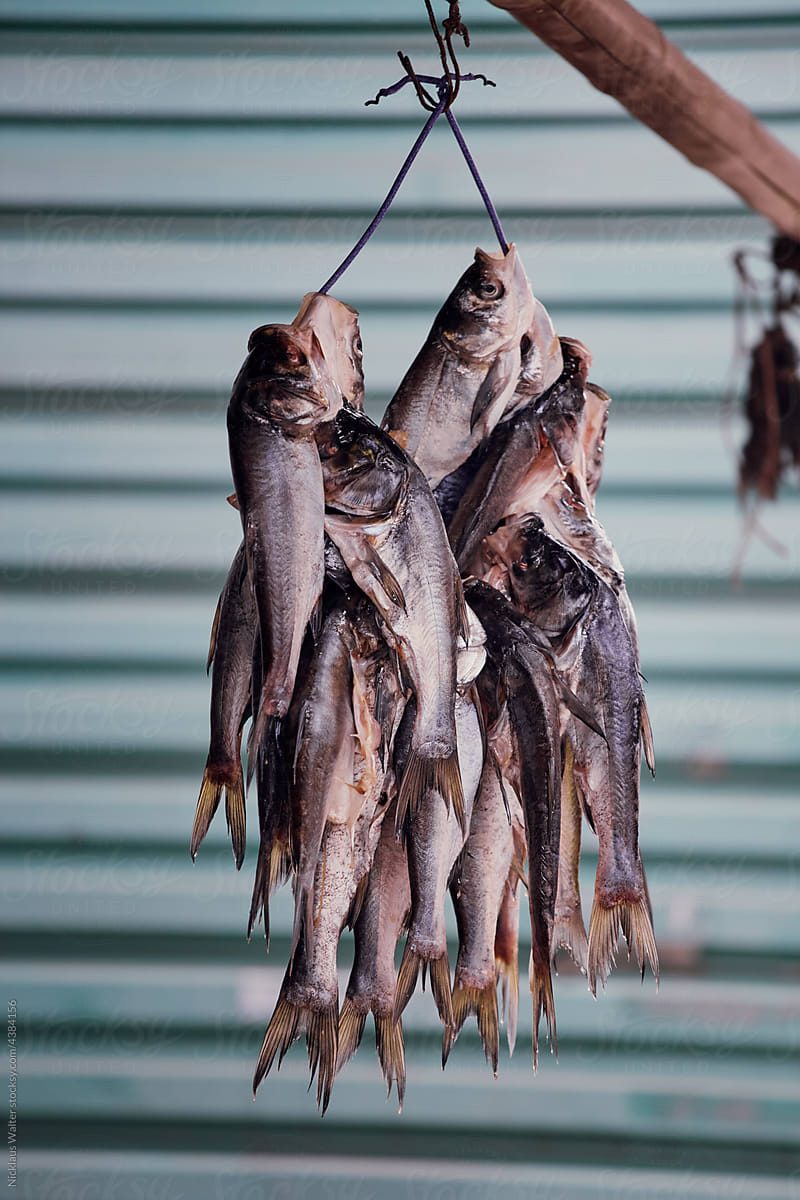 Fish Hanging At A Street Food Market In Anhui, China