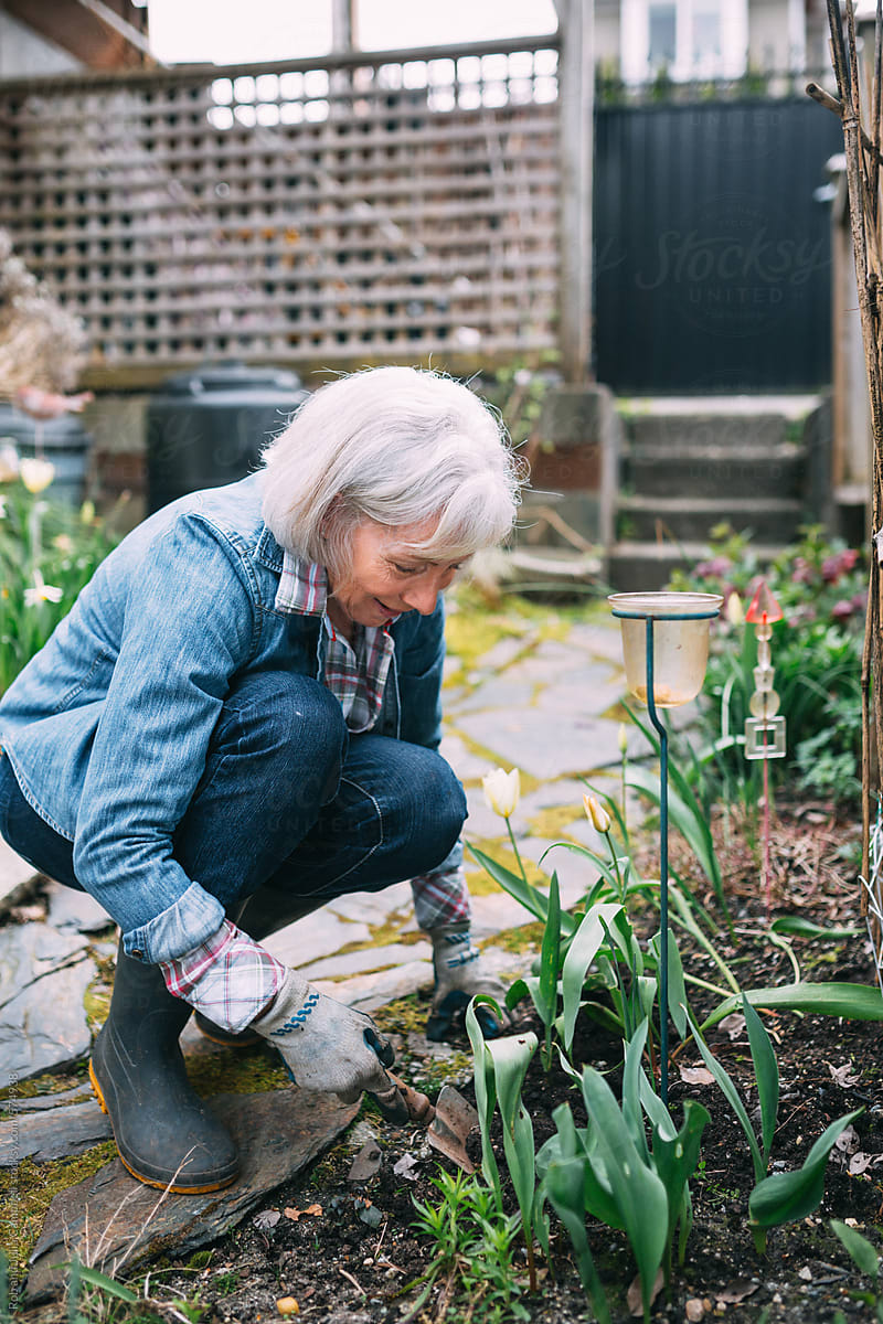 Older woman enjoying gardening in her backyard - kneeling and pulling weeds