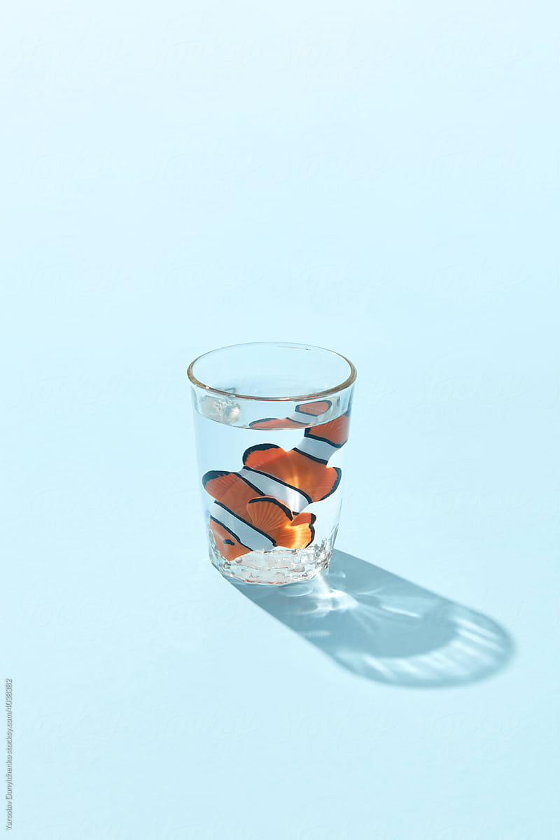Clownfish in glass of water