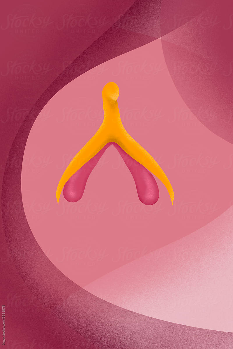Clitoris illustration.