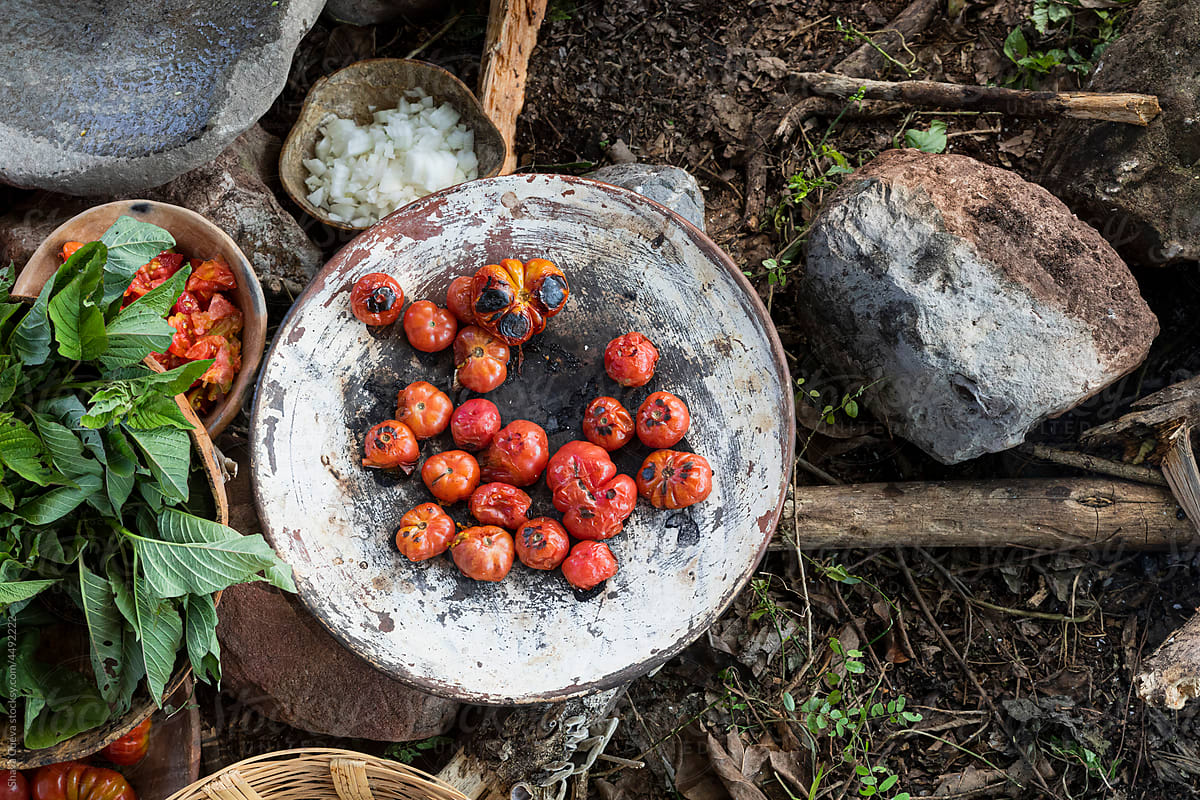 Roasted tomatoes on a comal next to edible plants