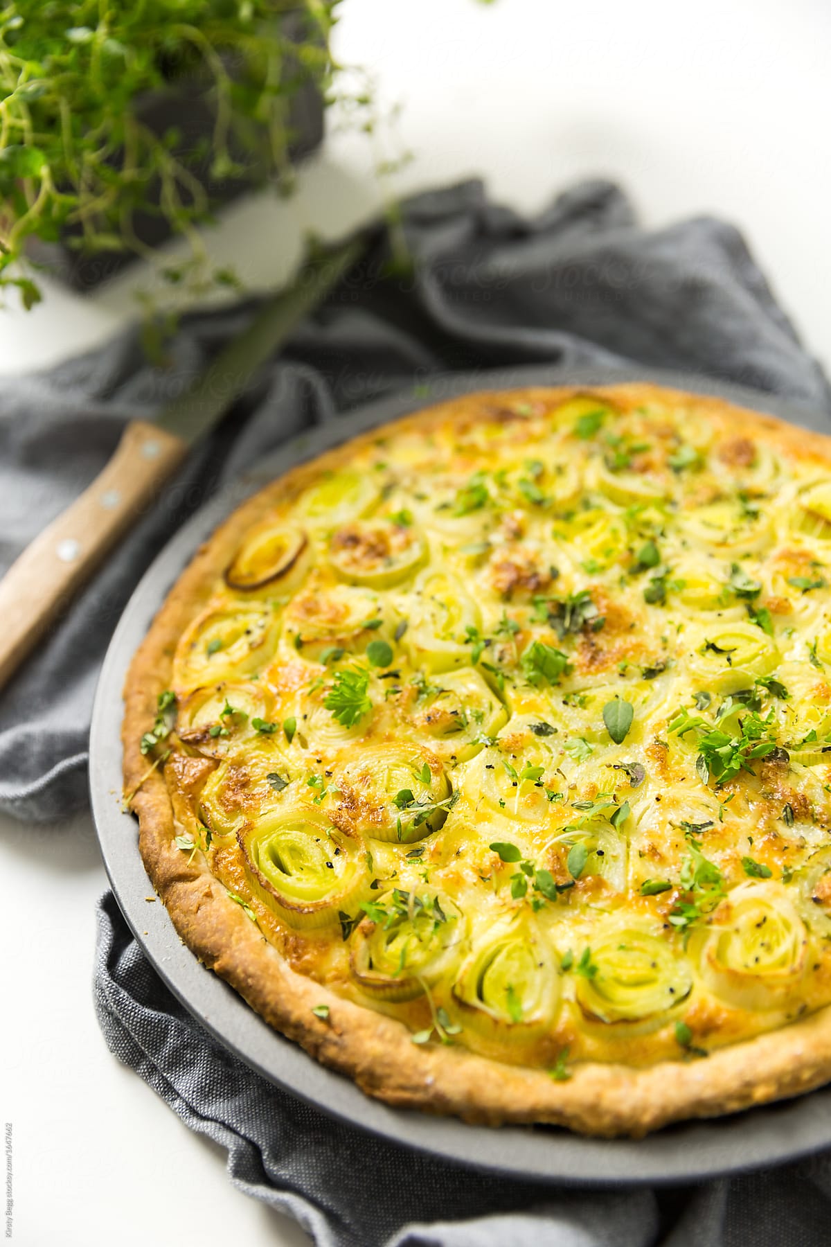 Cheese and leek tart with herbs