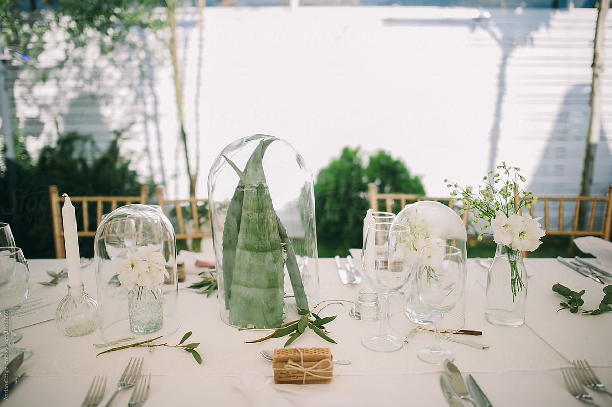 Table setup for an outdoor party, outdoor wedding table.