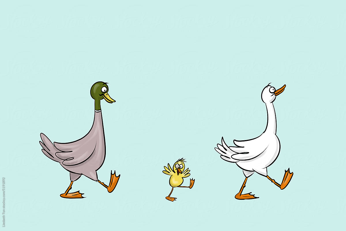 A family of ducks.