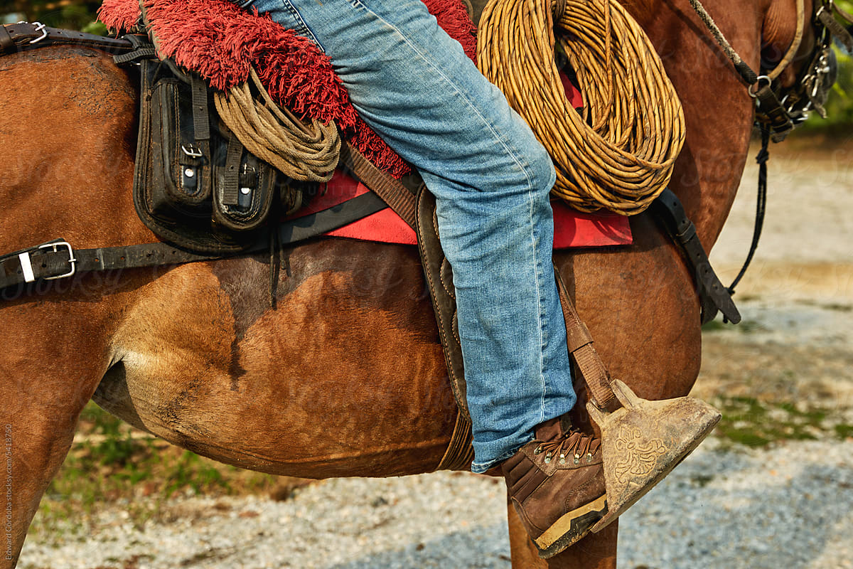 A close-up photograph of a brown horse and its saddle.