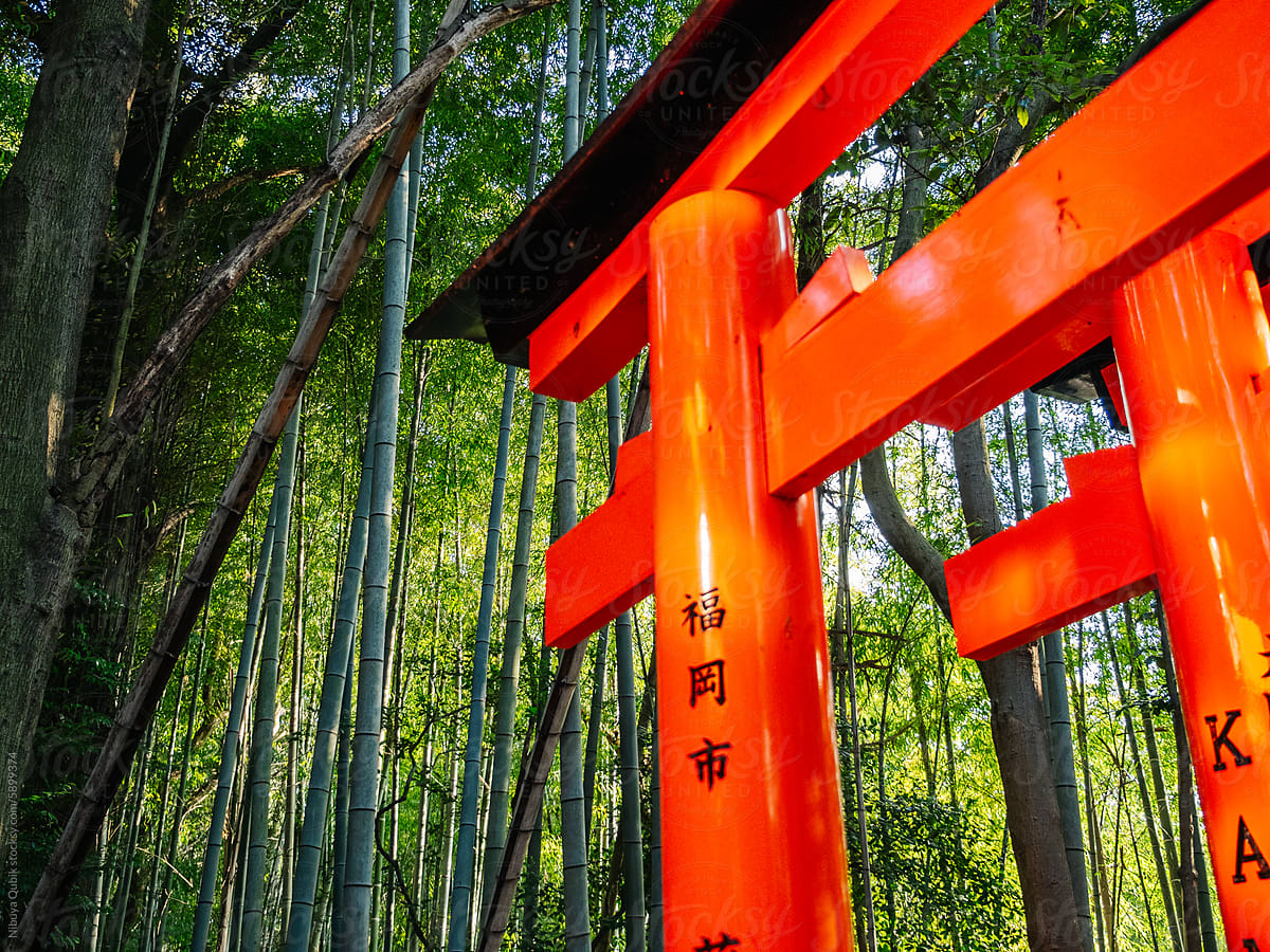 Detail of a torii gate next to a bamboo field at fushimi inari temple