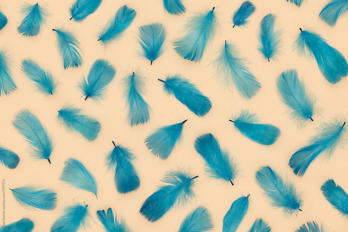 Blue feathers on pale peach surface