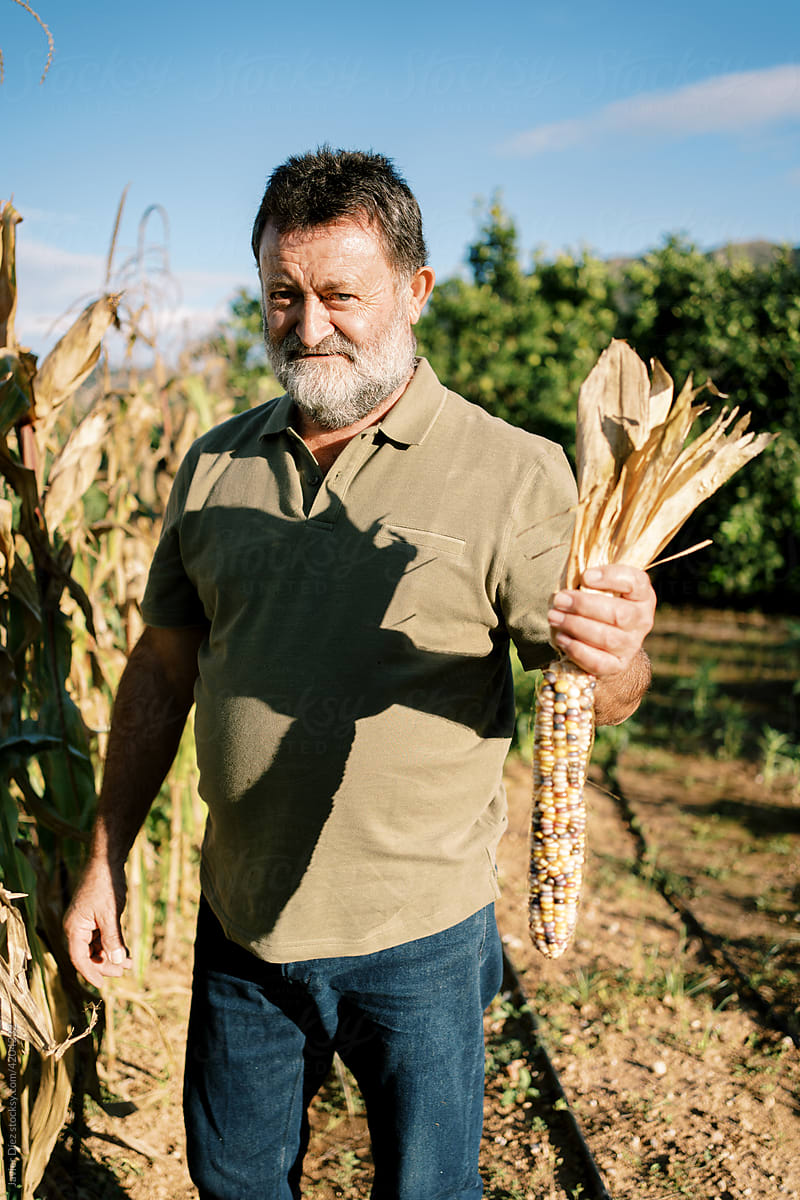 Male farmer with ripe corn