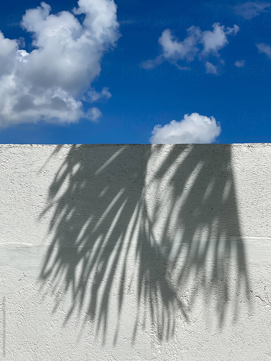 Shadow of palm leaves on white wall against a cloudy blue sky.