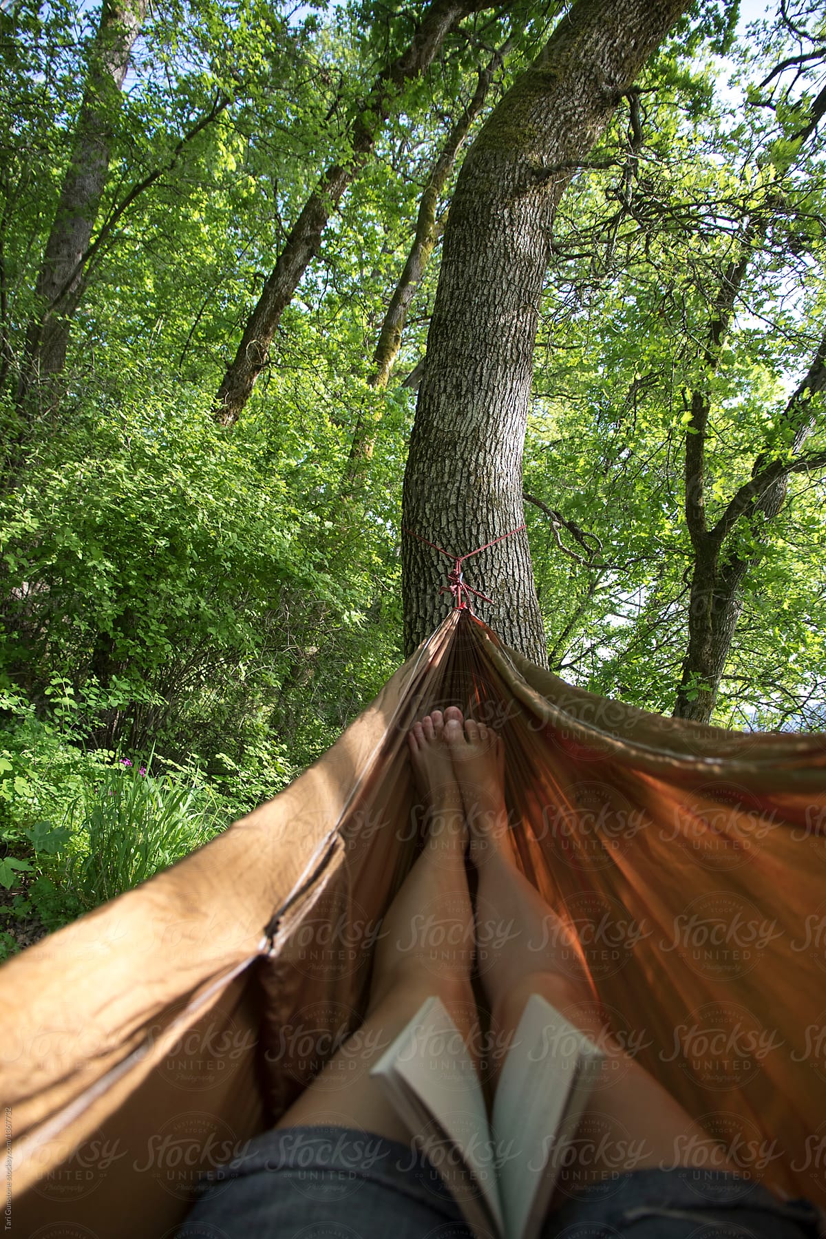 Summertime hammock