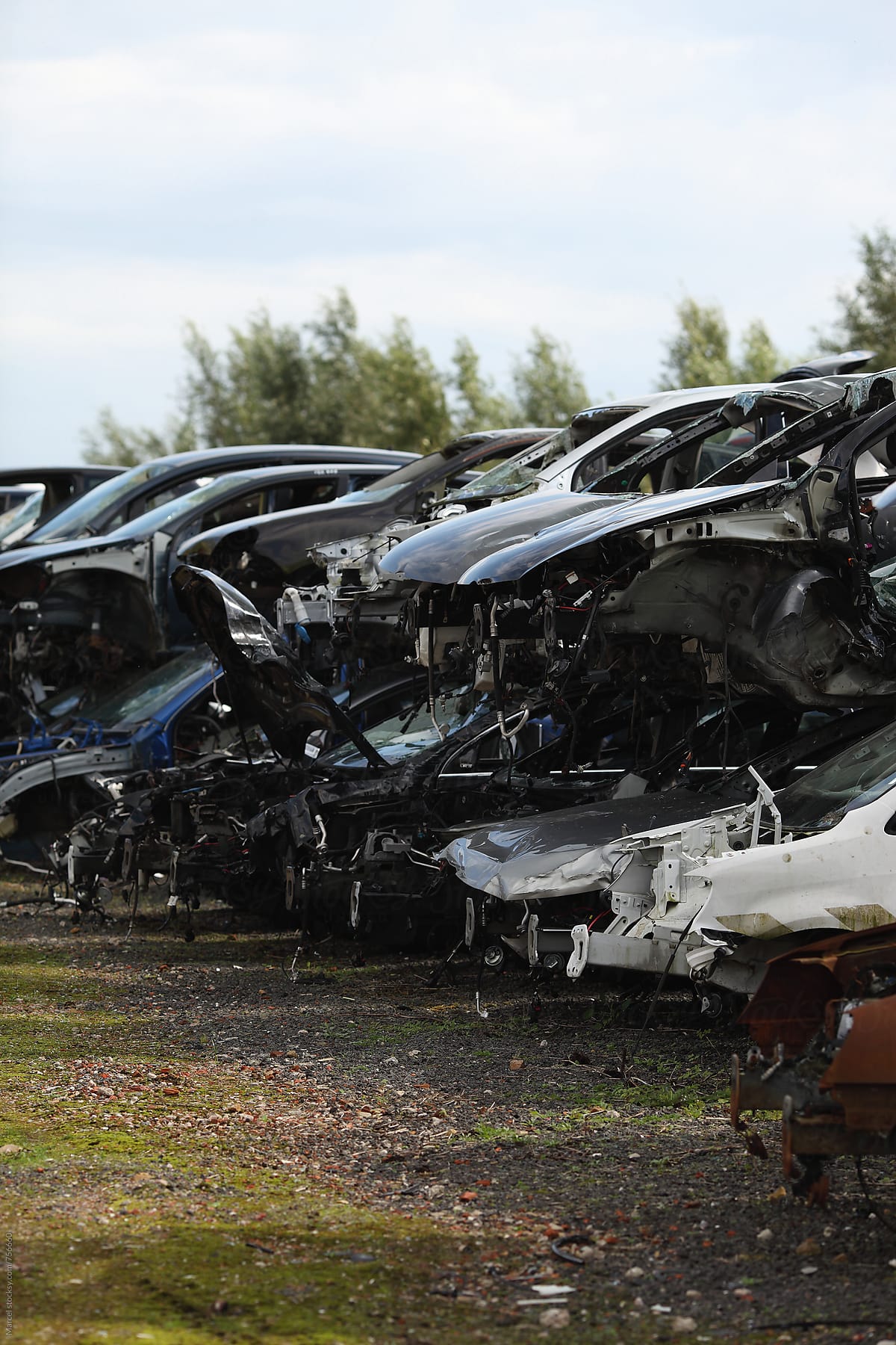 Wrecked cars piled up, at a acar scrapyard