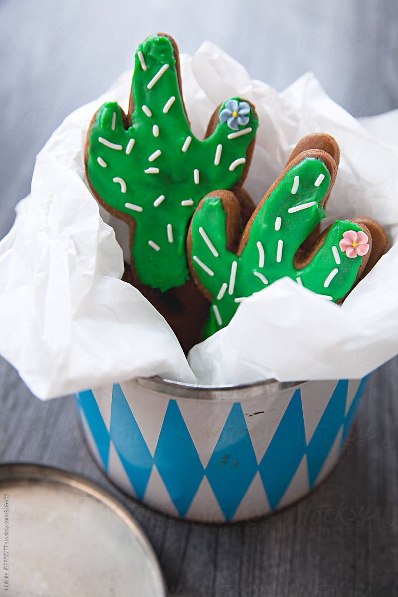Home made gingerbread cookies in the shape of a cactus in a vintage tin