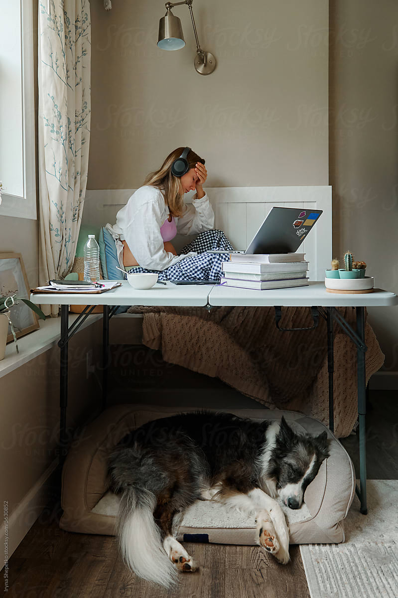 tired pregnant woman at home office with dog
