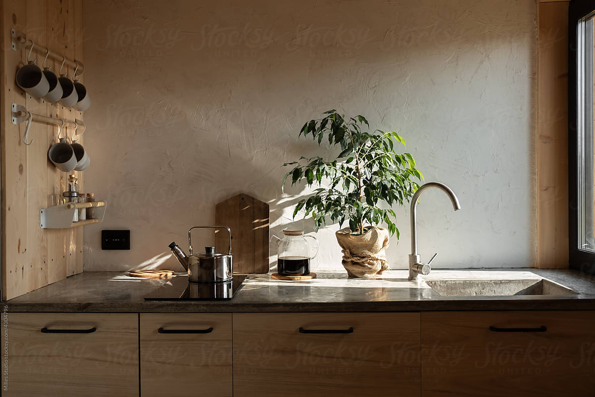 Counters with kitchenware and potted plant in kitchen