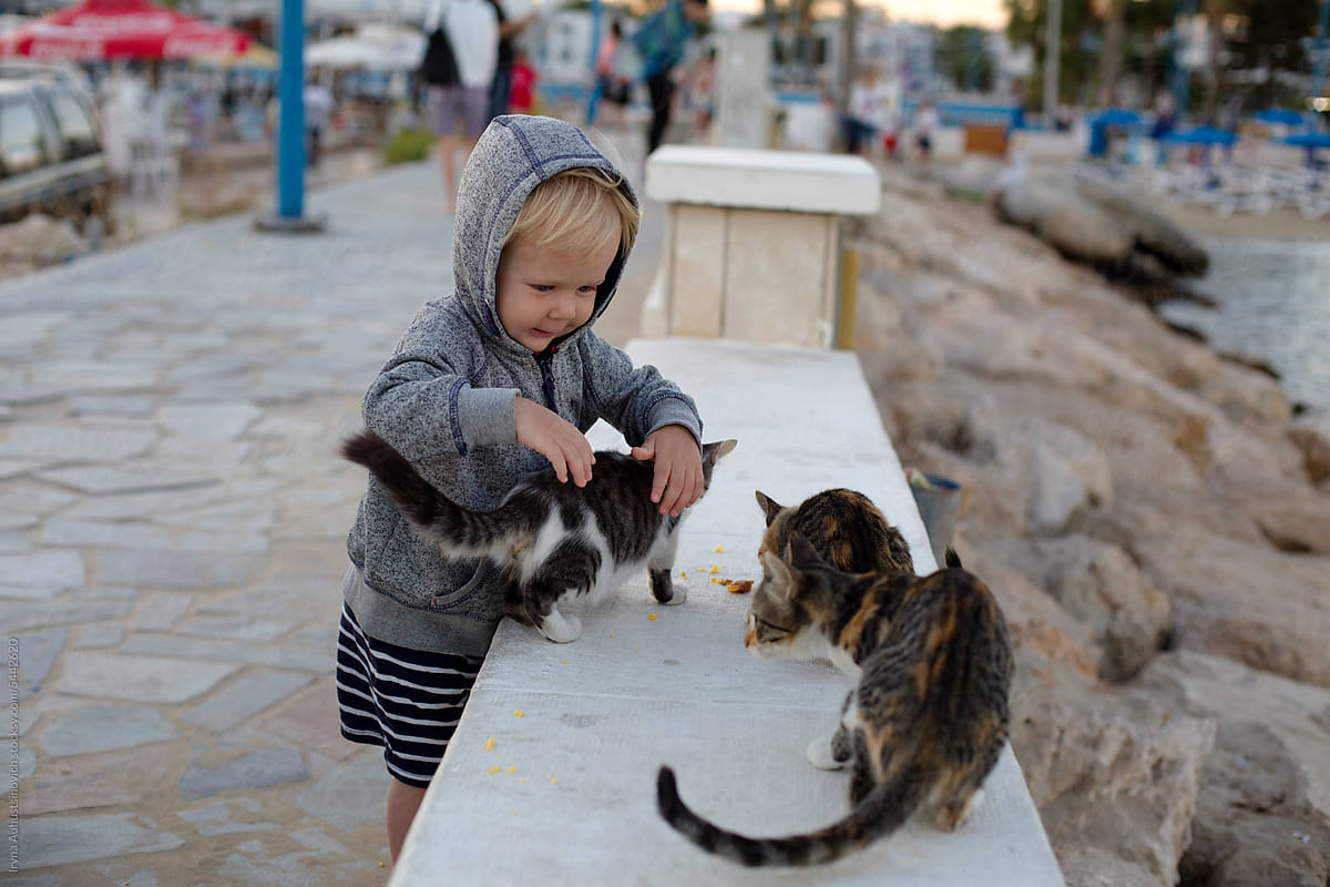BOY AND CATS