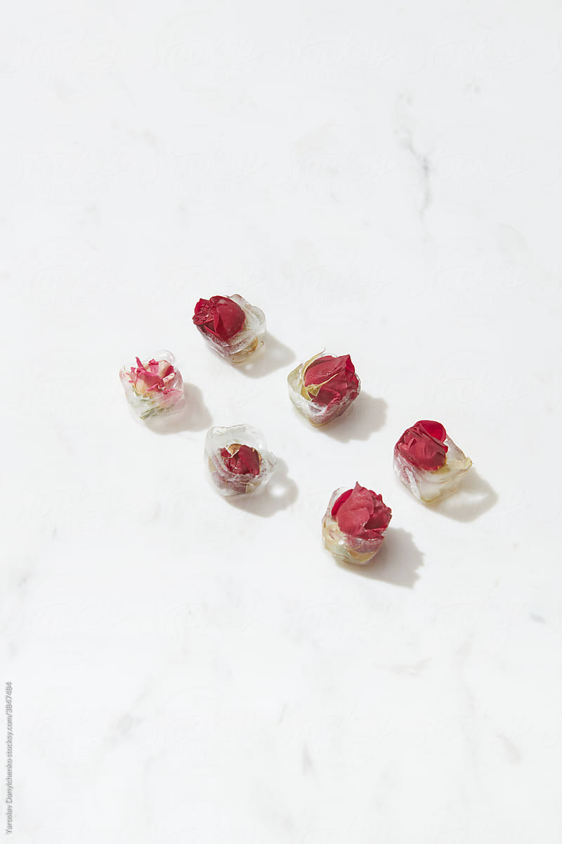 Six ice cubes with roses