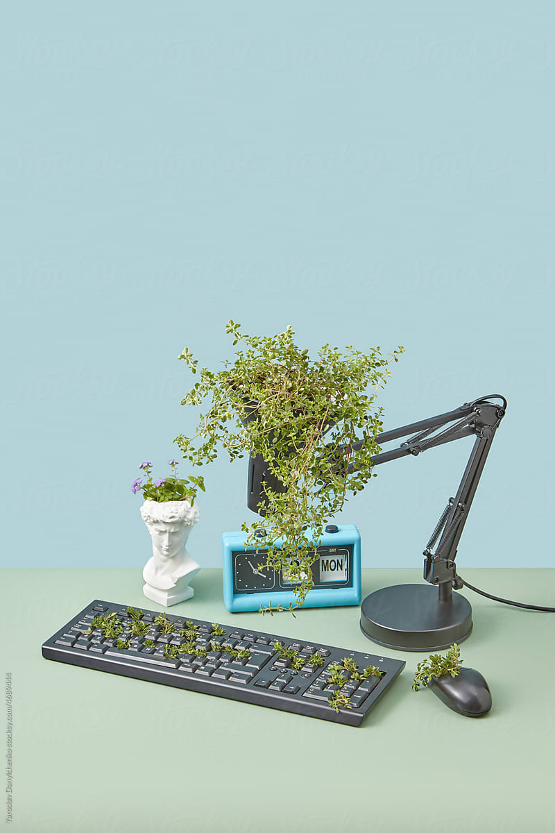 Reused lamp and keyboard as gardening planters