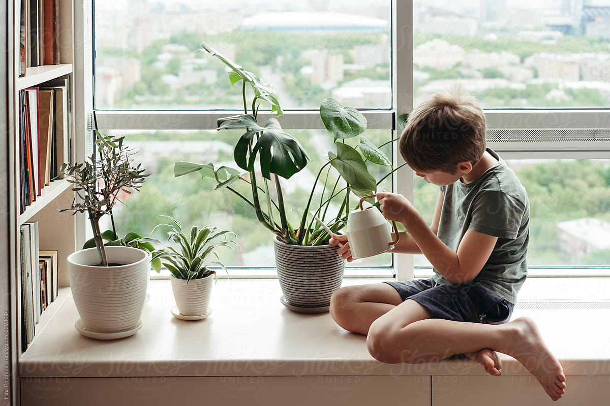 Boy takes care of green plants.