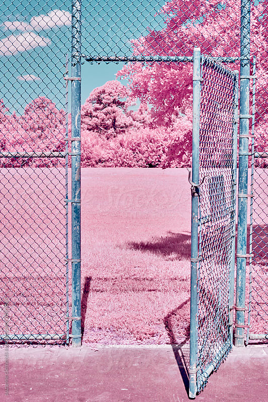 An open door in a chain link wall leading to a pink forest