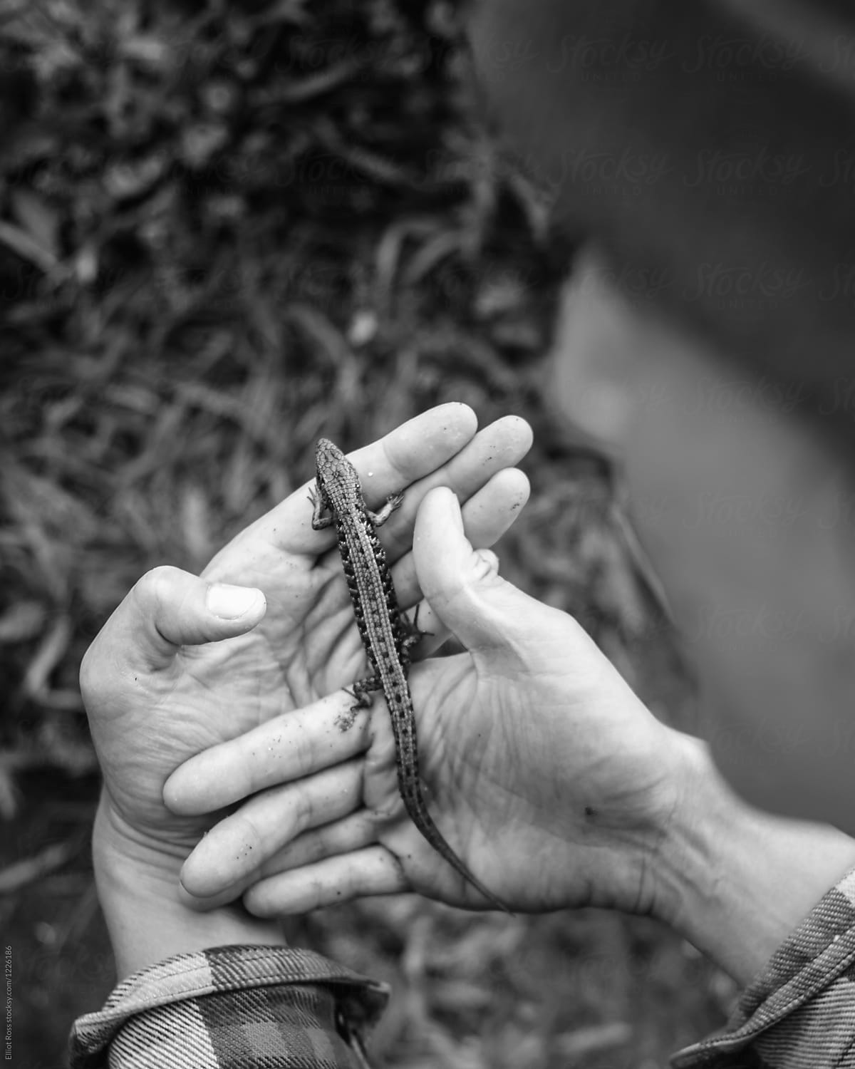 Young man holds a little lizard in his hands
