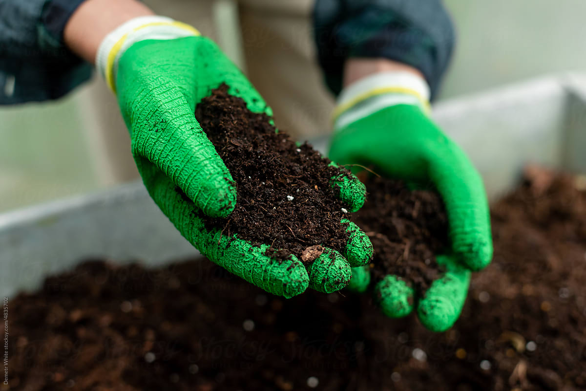 Green gloves holding soil