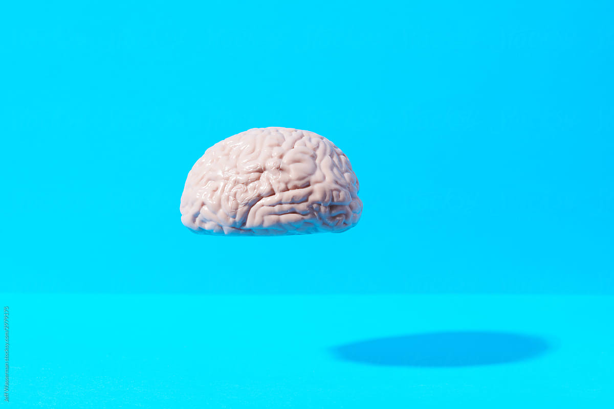 Floating Human Brain Model on Blue