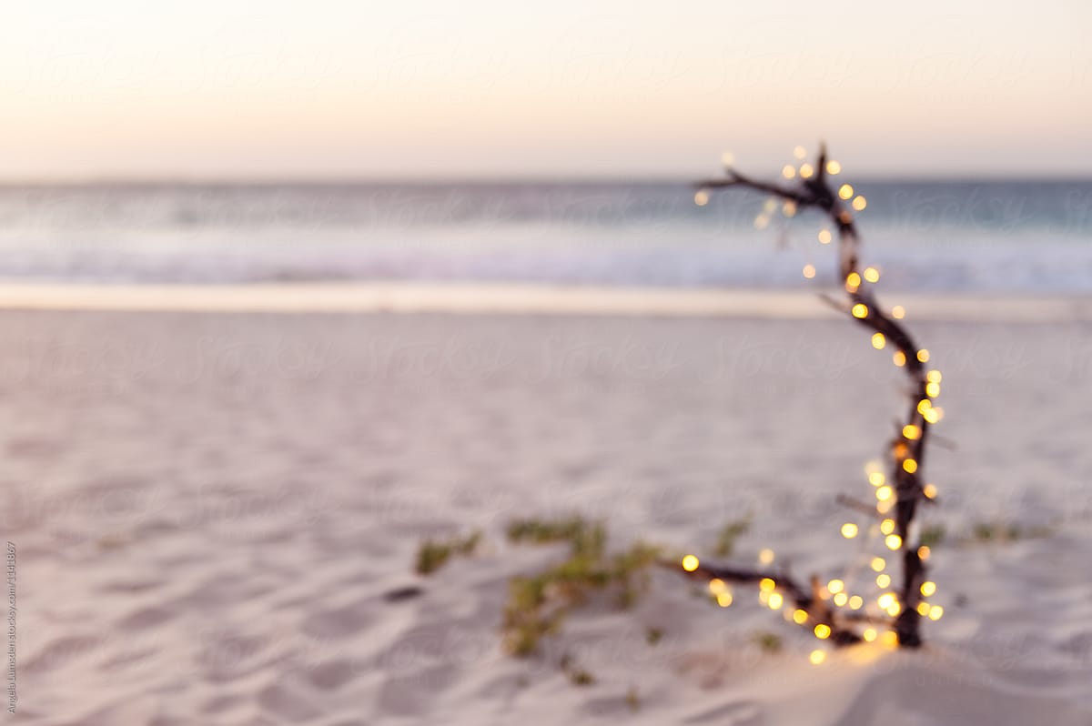 Driftwood decorated with fairy lights at the beach at Christmas