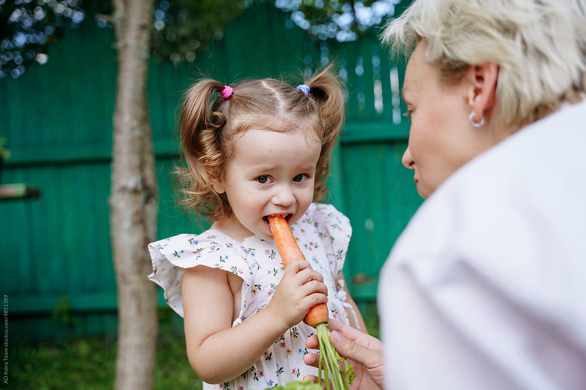 Mom feeds her daughter fresh carrots from the garden