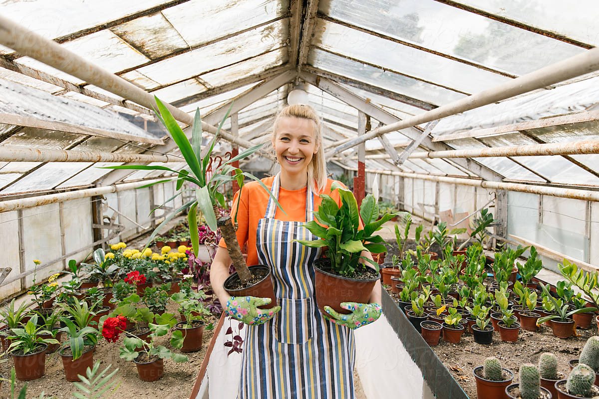 Middle Age Woman Holding Houseplants In Her Greenhouse