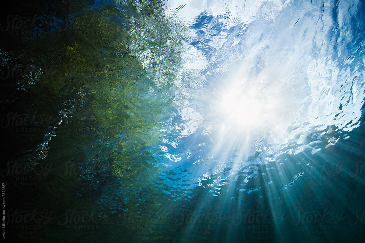 Freshwater Underwater Water Background