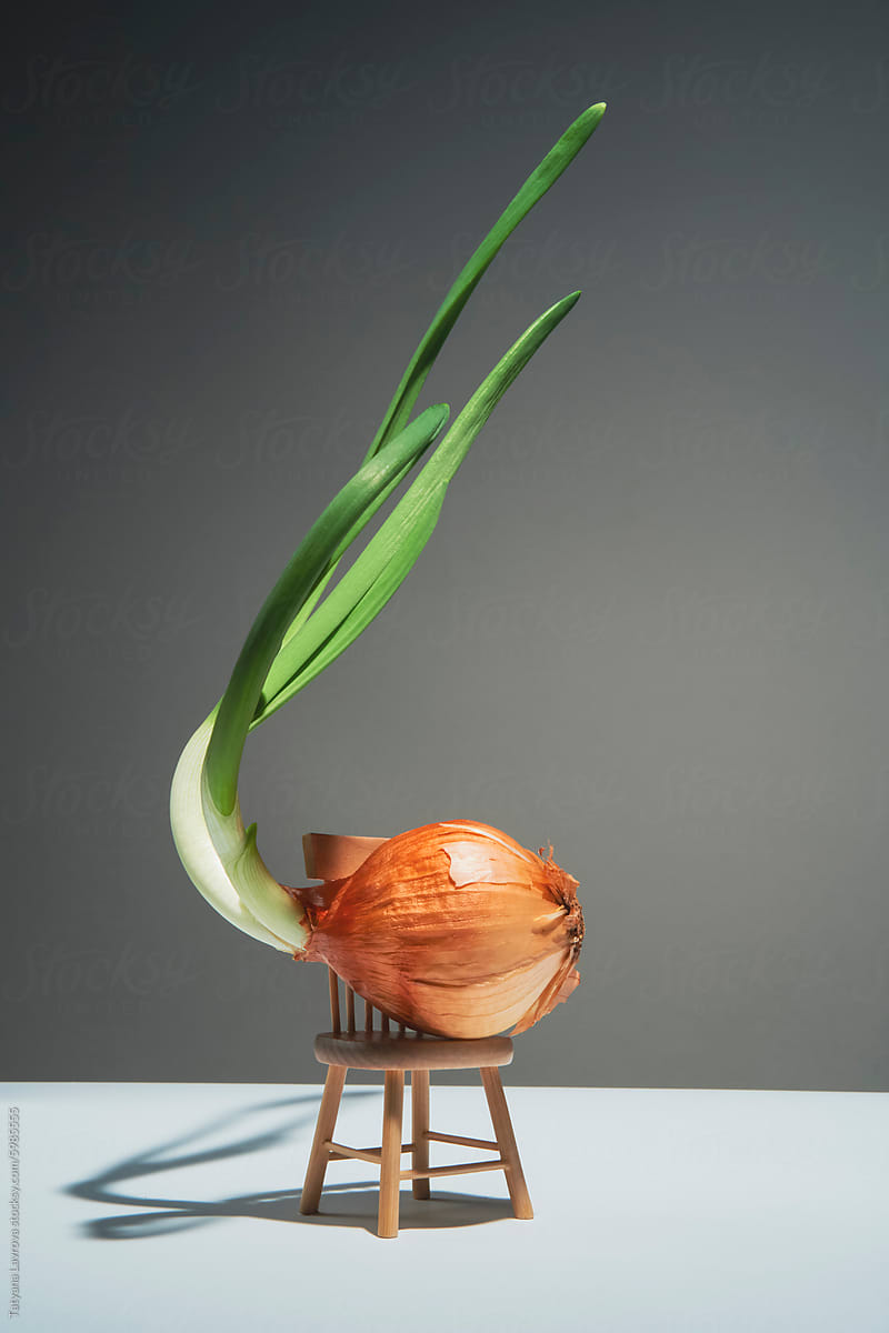 Sprouting onion on a miniature chair. Abstract natural still life