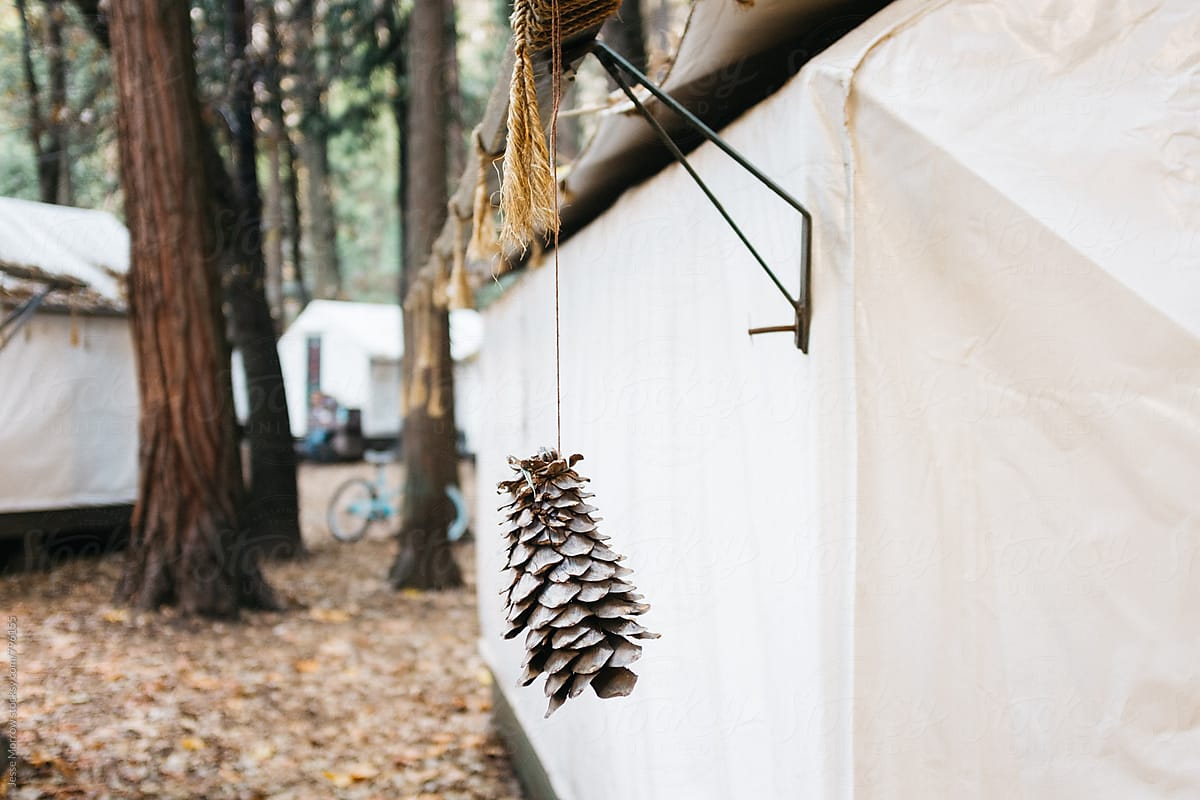 decorative pine cone on outside of temporary tent house