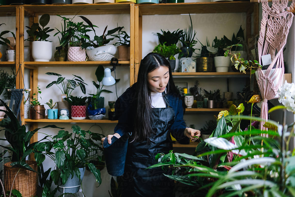 Skilled floral worker watering and looking after plants in studio