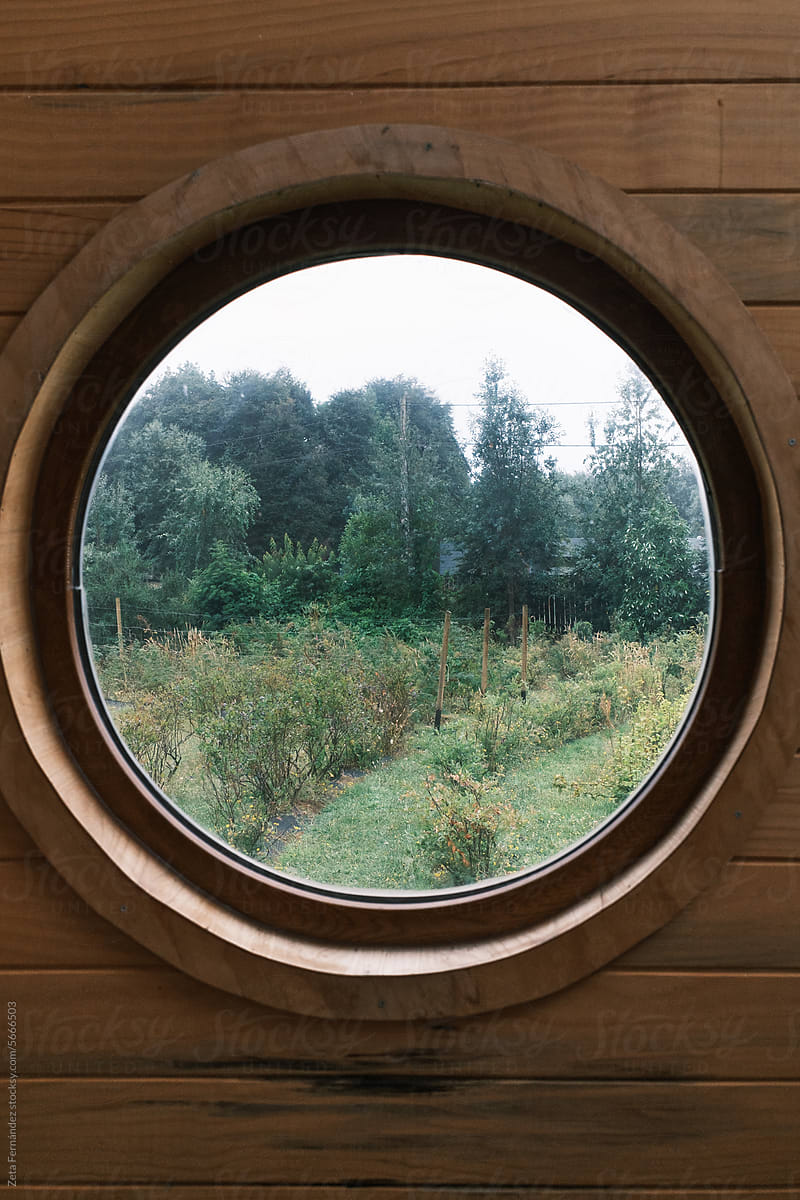 Geometric shape framed by tree-filled window in green house