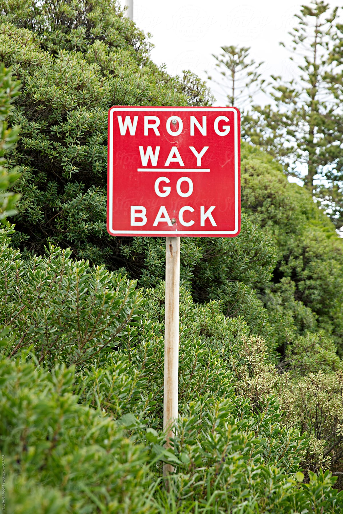 wrong way go back sign in bushes