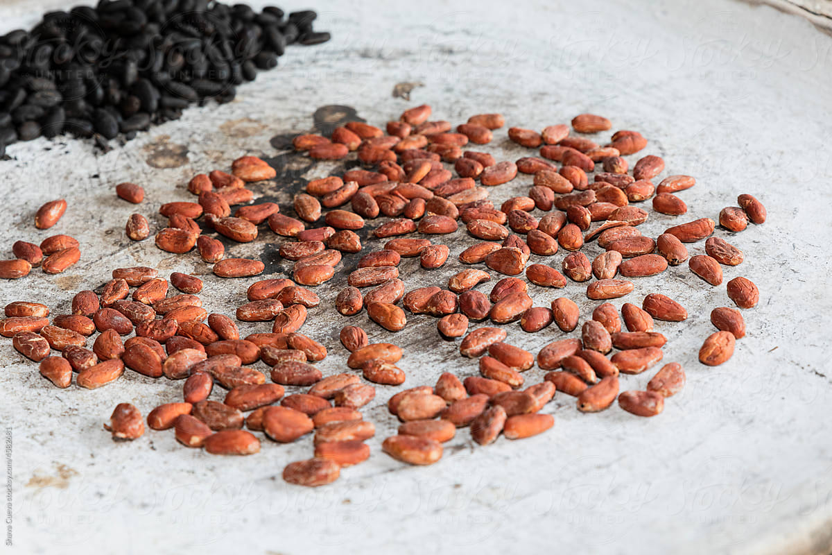 Closeup of red and dark cacao beans roasting on a white comal