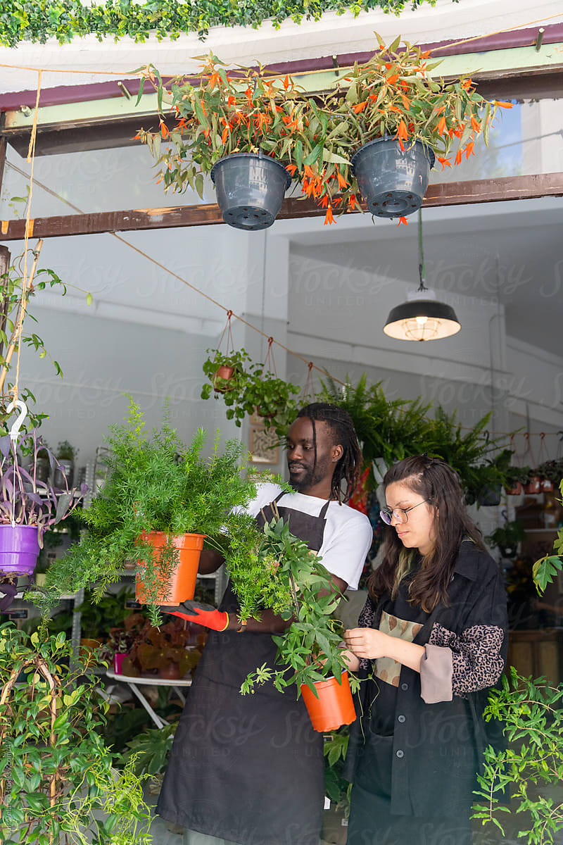 Colleagues Working Together In A Plants Shop.