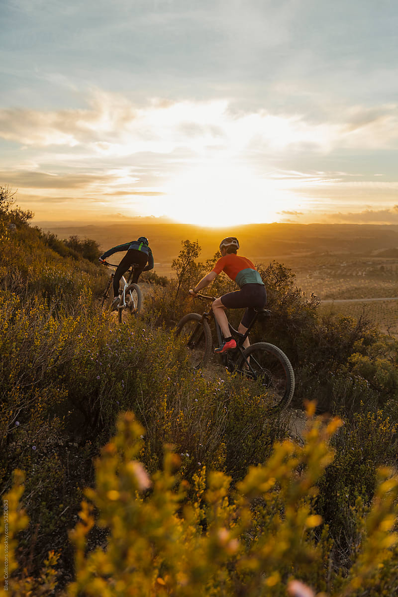 Mountain bikers at sunrise