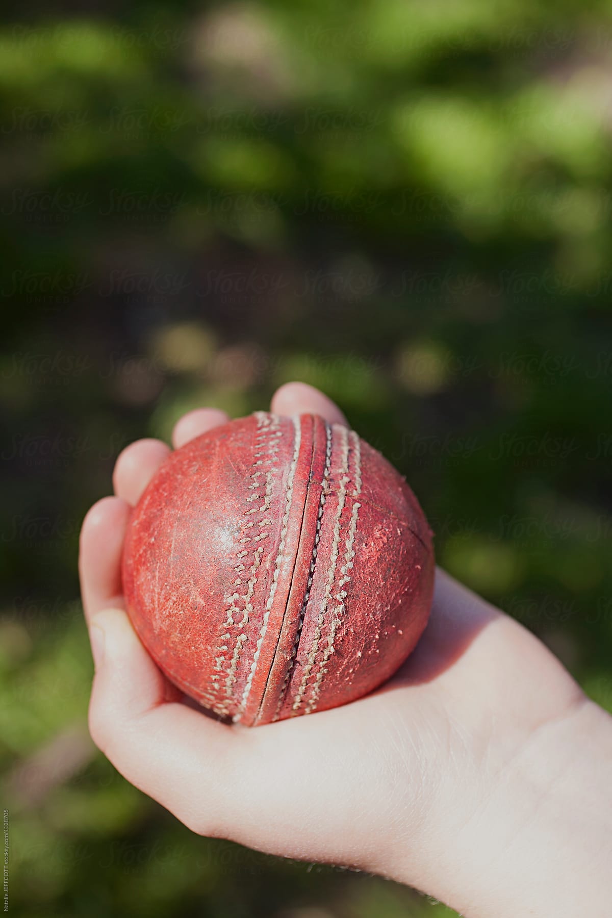 backyard cricket in Australia - hand holding ball