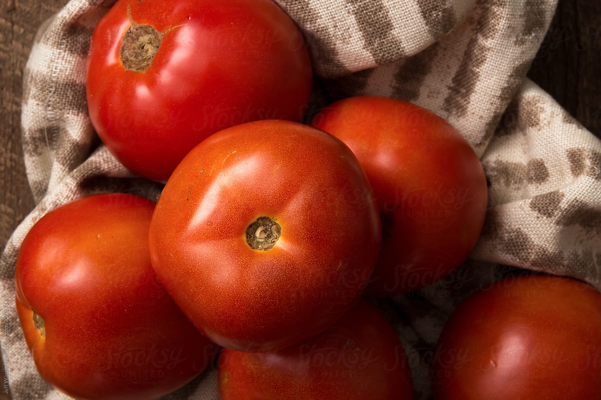 Raw Ingredient for Pappa al Pomodoro: Field Tomatos