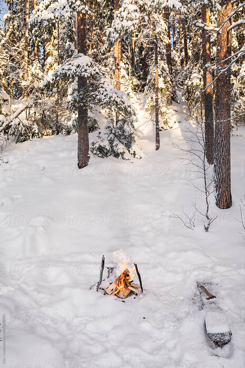 Camp fire burning in snowy forest