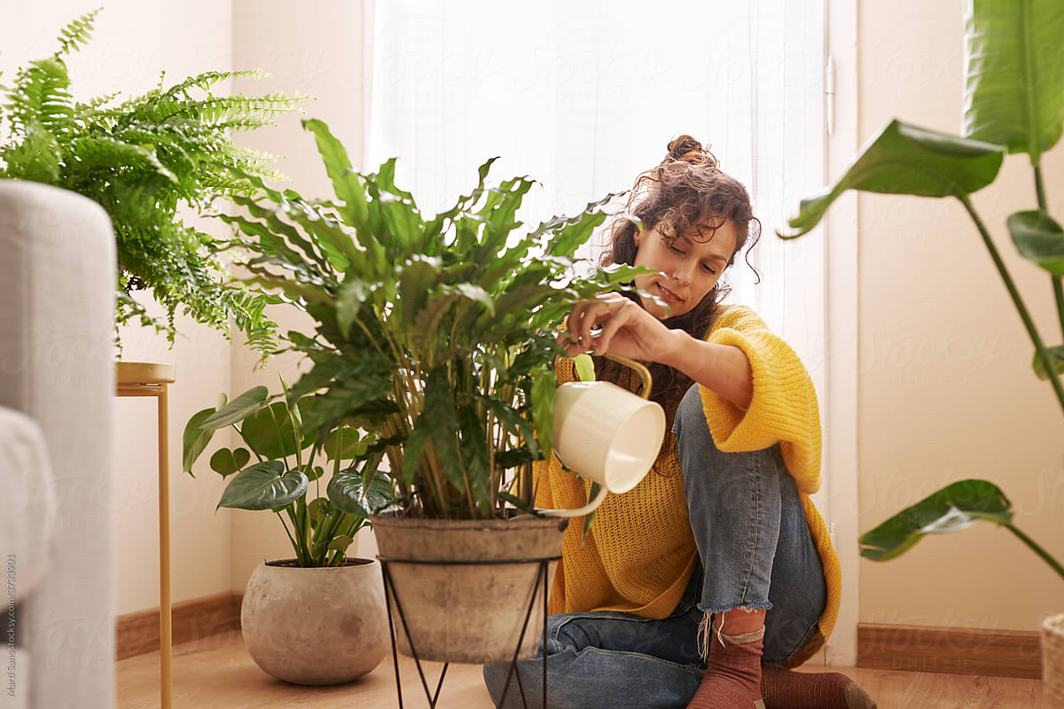 Woman watering potted plant at home