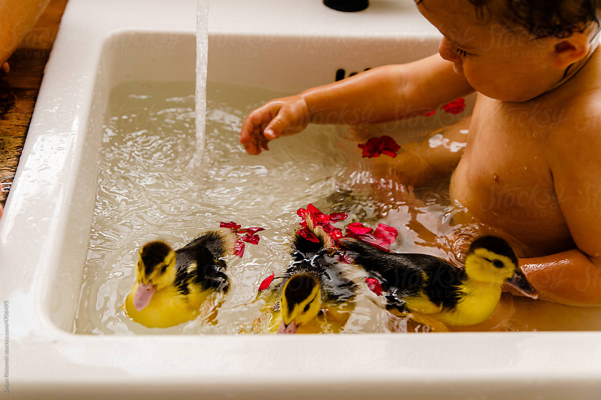 Baby playing with little ducks in the kitchen sink