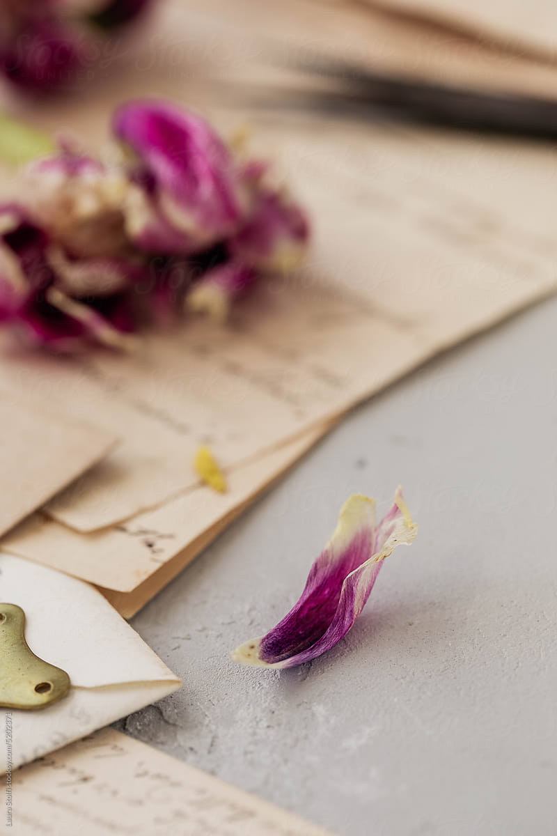 A fallen petal detail on desk