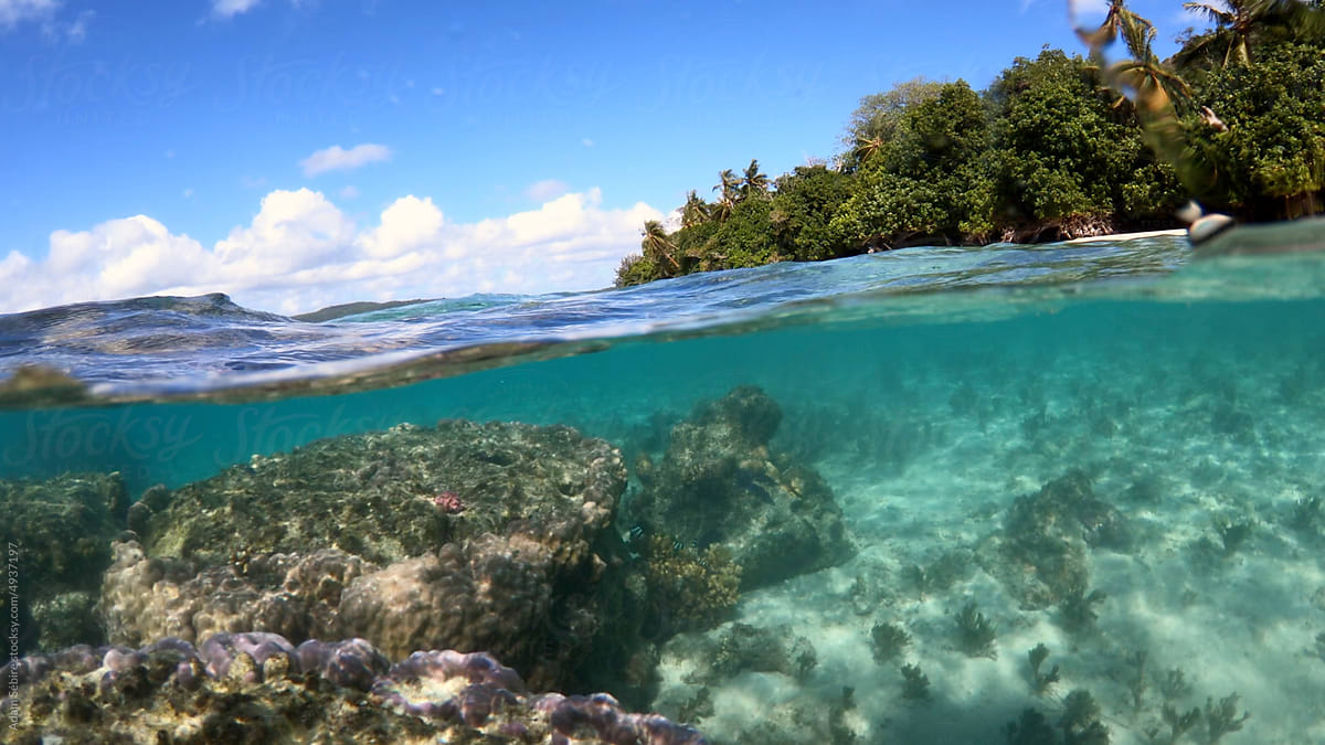 Pacific Ocean coral reef - impacts of sea level and climate change